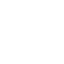 Nervous System